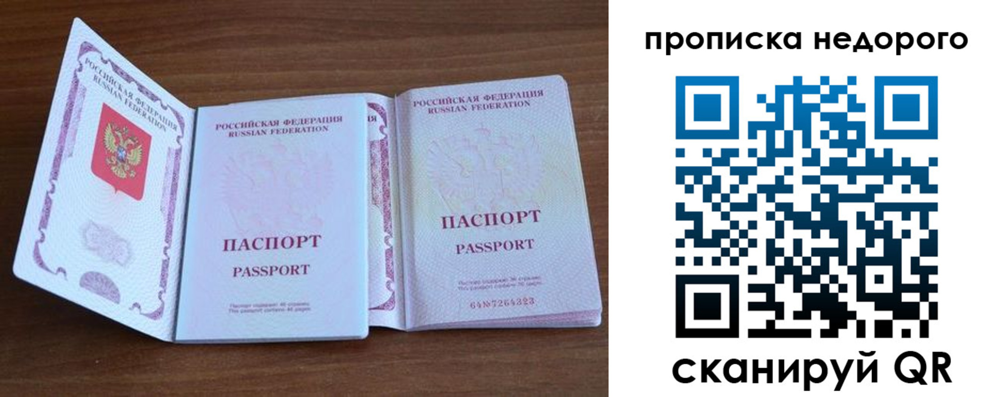 прописка поиск в Грозном